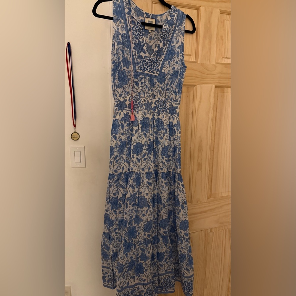 Floral Blue and White Dress